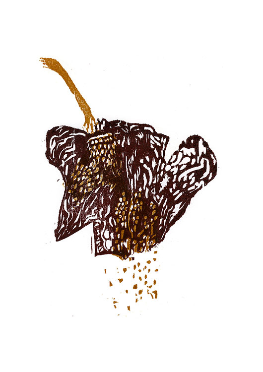 Chili