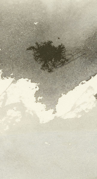 prelude illustration 