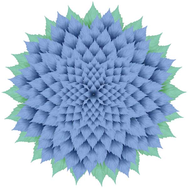 Cornflower #2