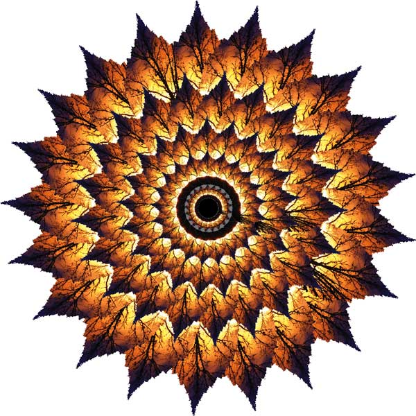 Flame flower
