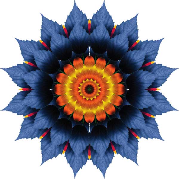 Flowerscope #2
