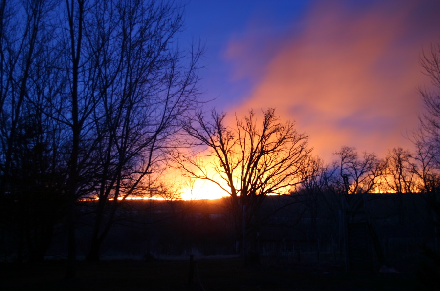 burning field