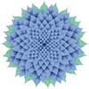 Cornflower #2