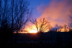 burning field